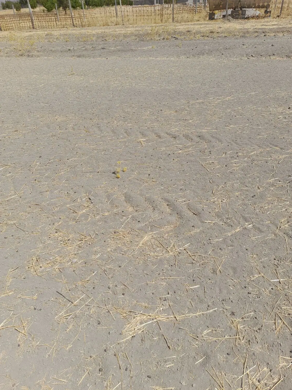 ۶۰۰متر زمین مناسب باغ