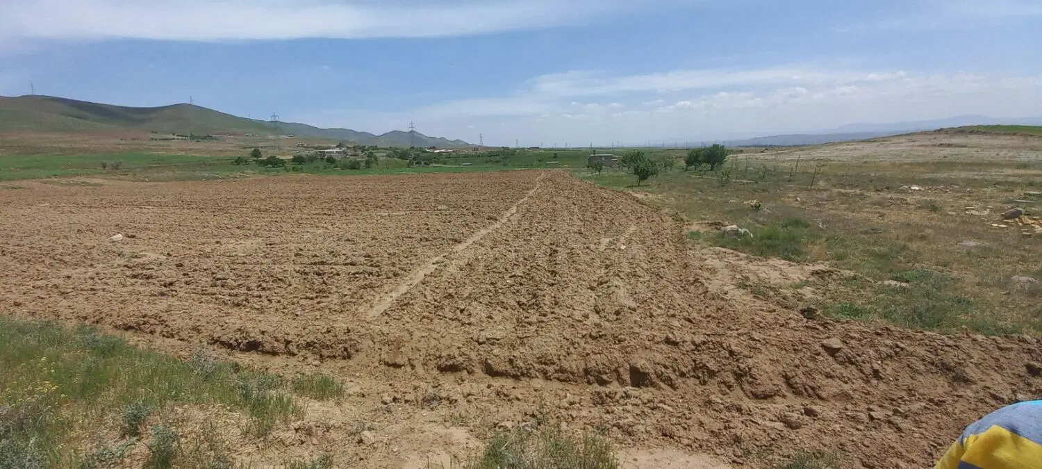 زمین کشاورزی دیمی درچوره ناب