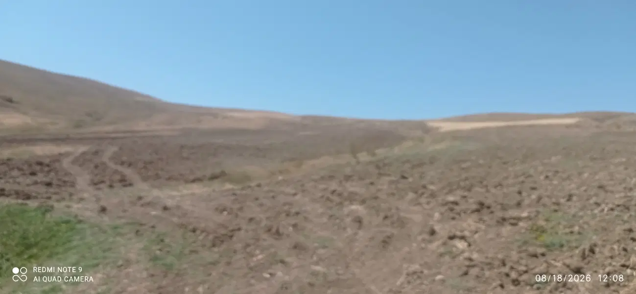 زمین سند دار تک برگ روستای مزجین