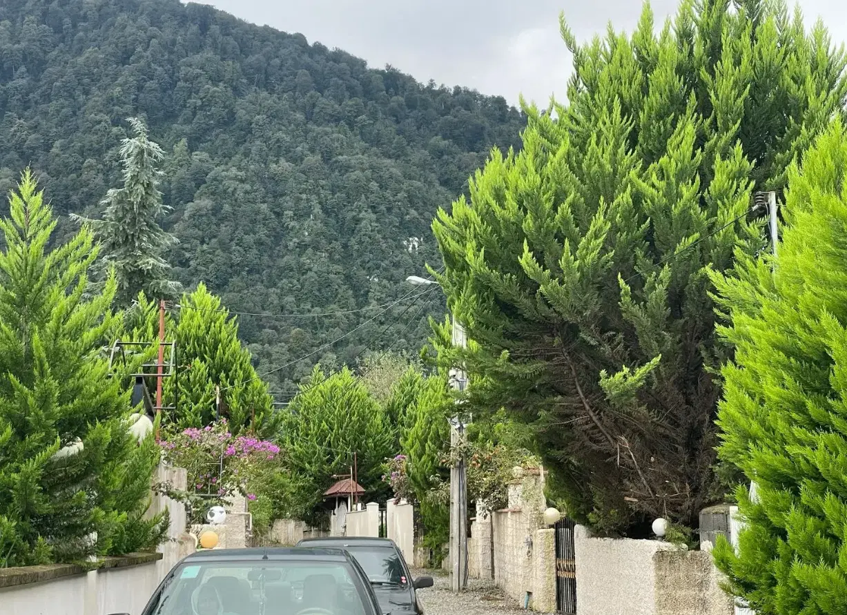 یک قطعه زمین 284متری_شرایطی_جنگلی داخل بافت