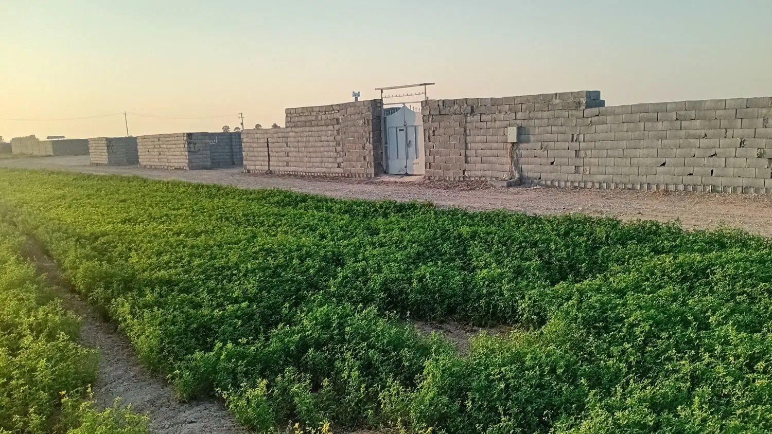 پلاک باغ چهاردیواری تیمیارت اب و برق