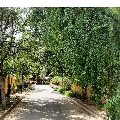 فروش باغ در روستای قره تپه