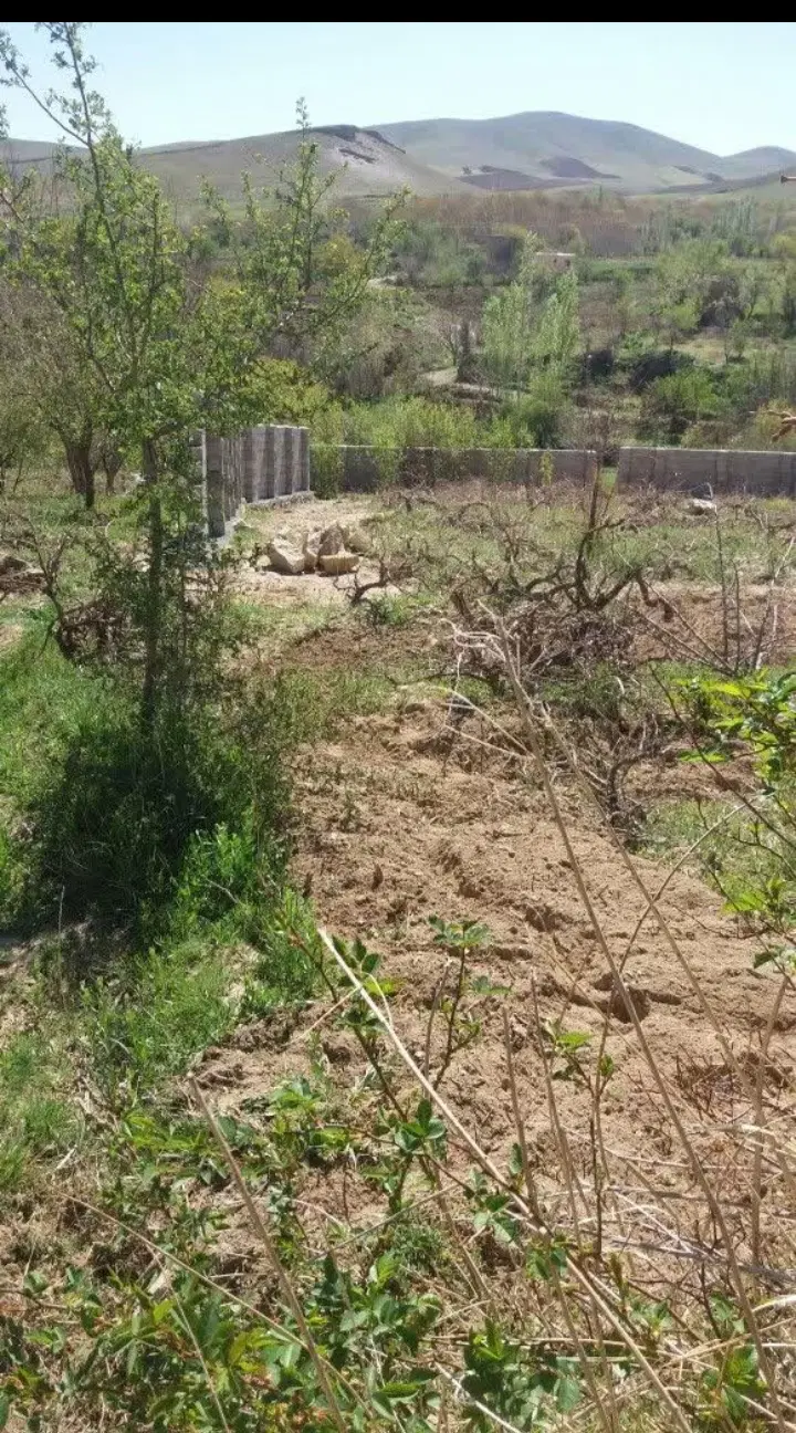 فروش باغ انگور وزمین کشاورزی روستای ایوک