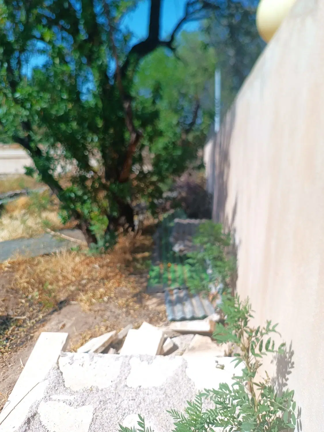 دیزیجان زمین  خانه باغ  ویلا