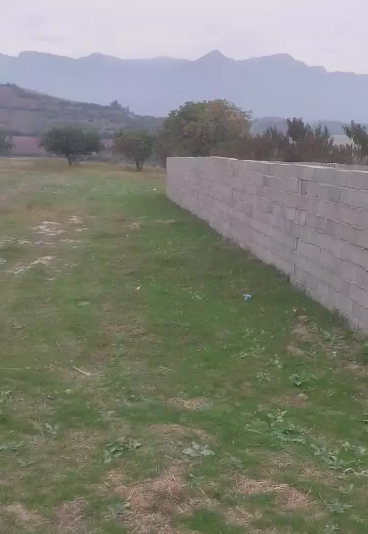 زمین باغی