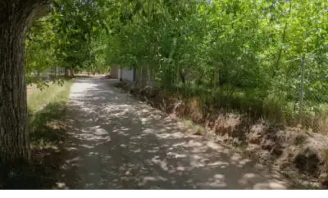 زمین کوی گلستان دستجرد