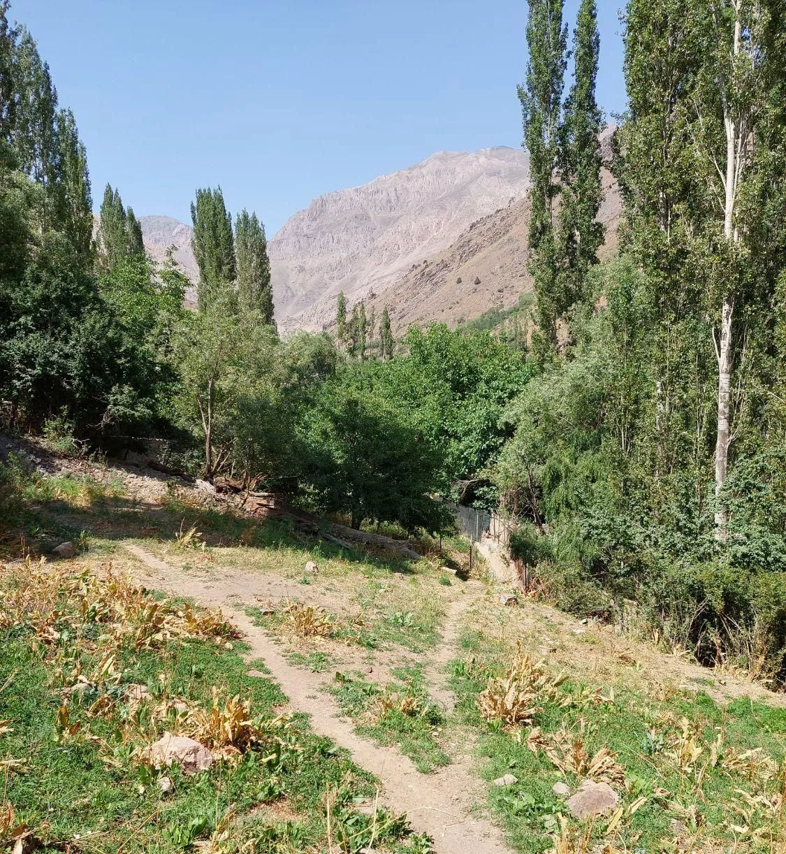 زمین فشم آبنیک سندتک برگ آب برق گاز تلفن