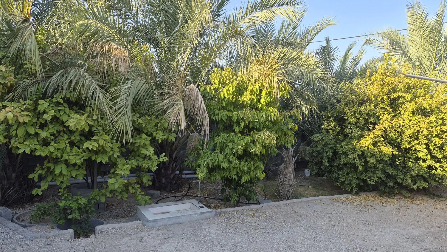 باغ شهری