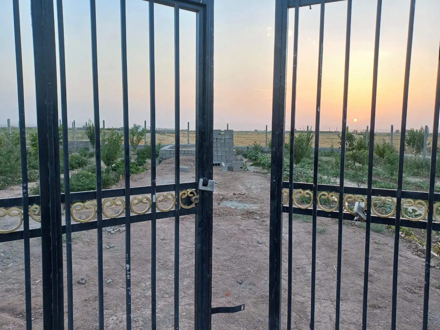 باغچه ۵۲۰ متری