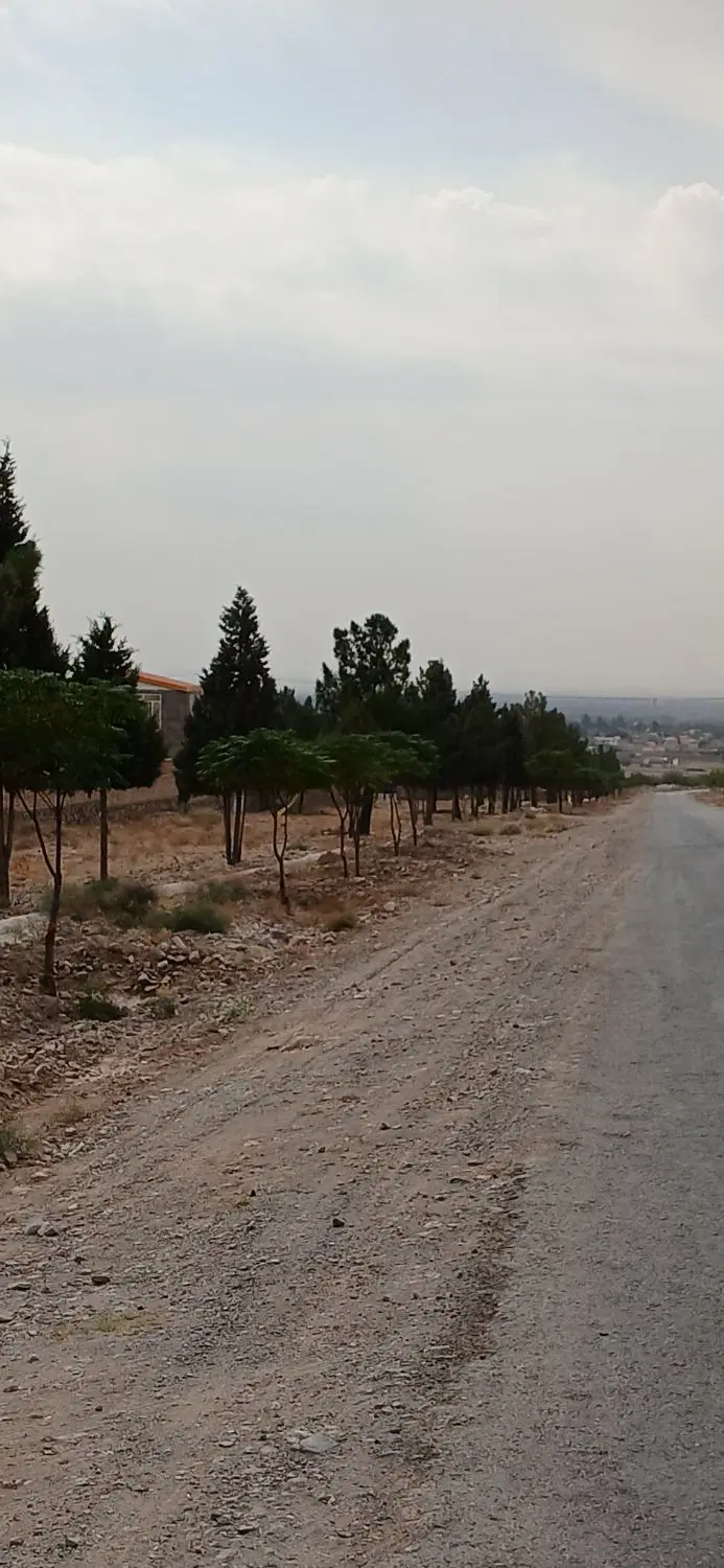 زمین باغرود سند تک برگ