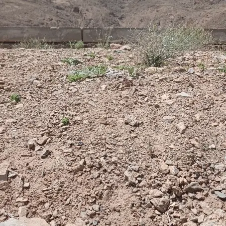 زمین مسکونی