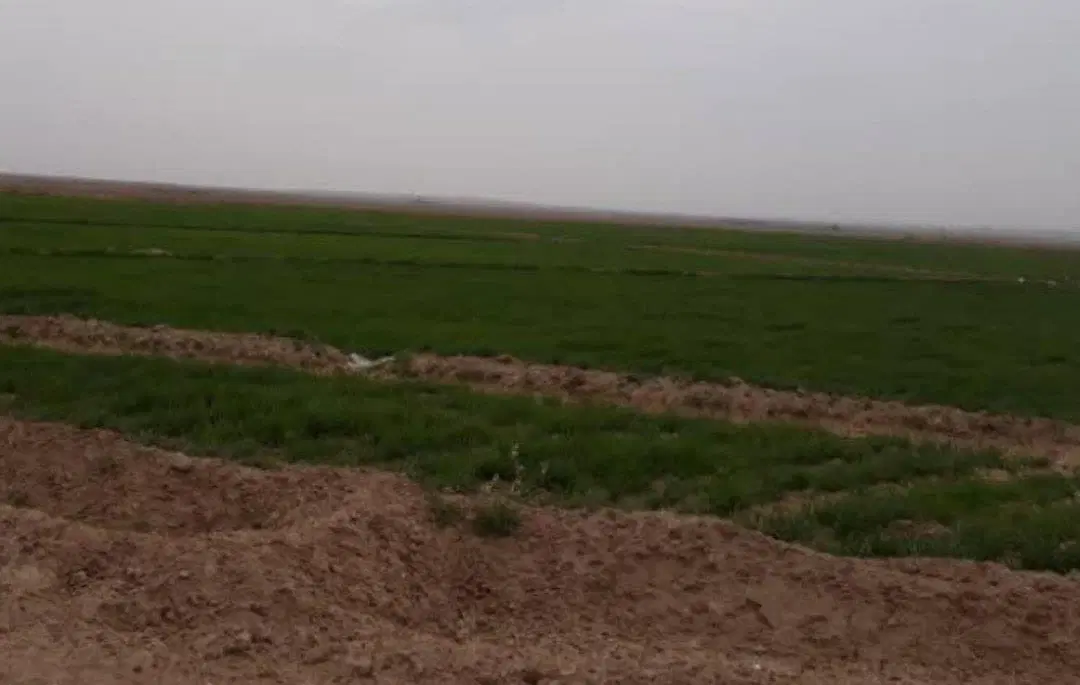 زمین کشاورزی محدوده مشهد مقدس