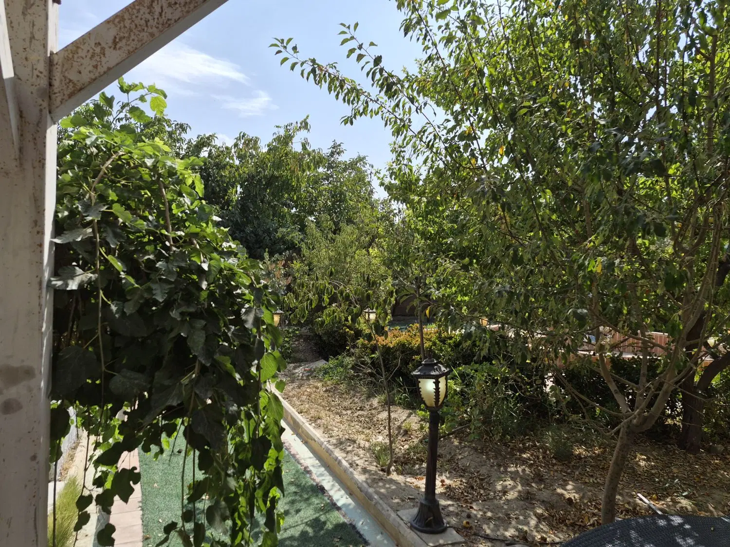 ۶۰۰ متر سند دار دهکده ورزشی همنوش