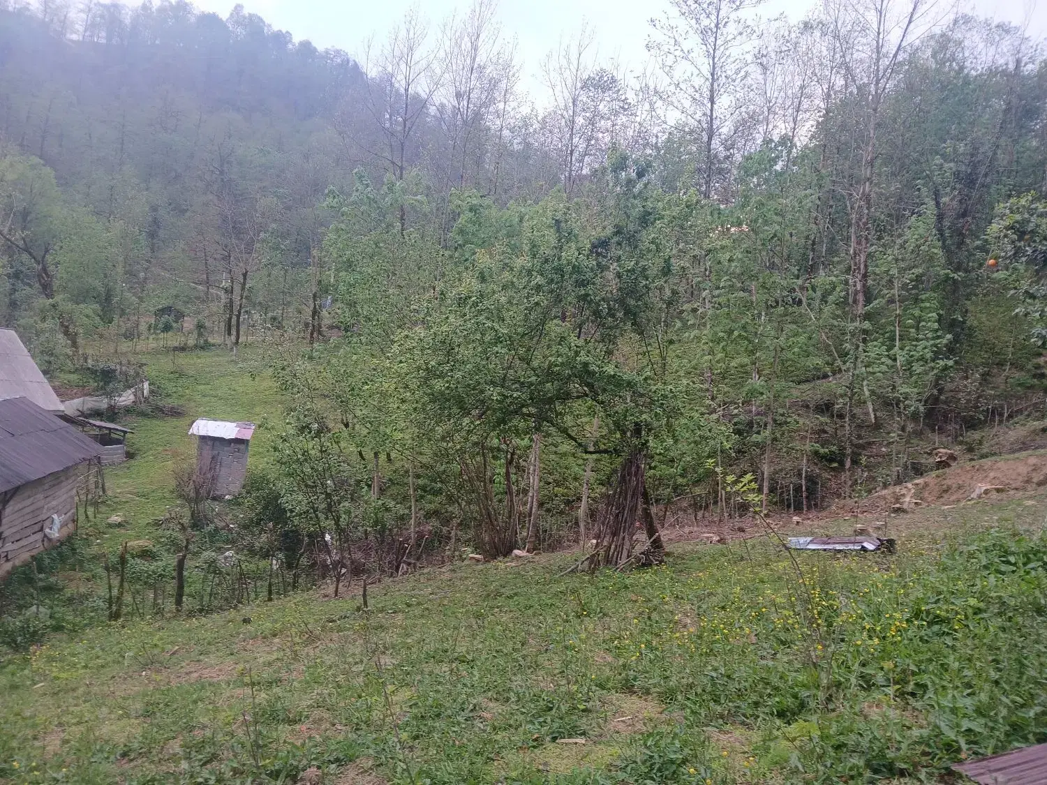 ۳۰۰متر زمین بالای کوه