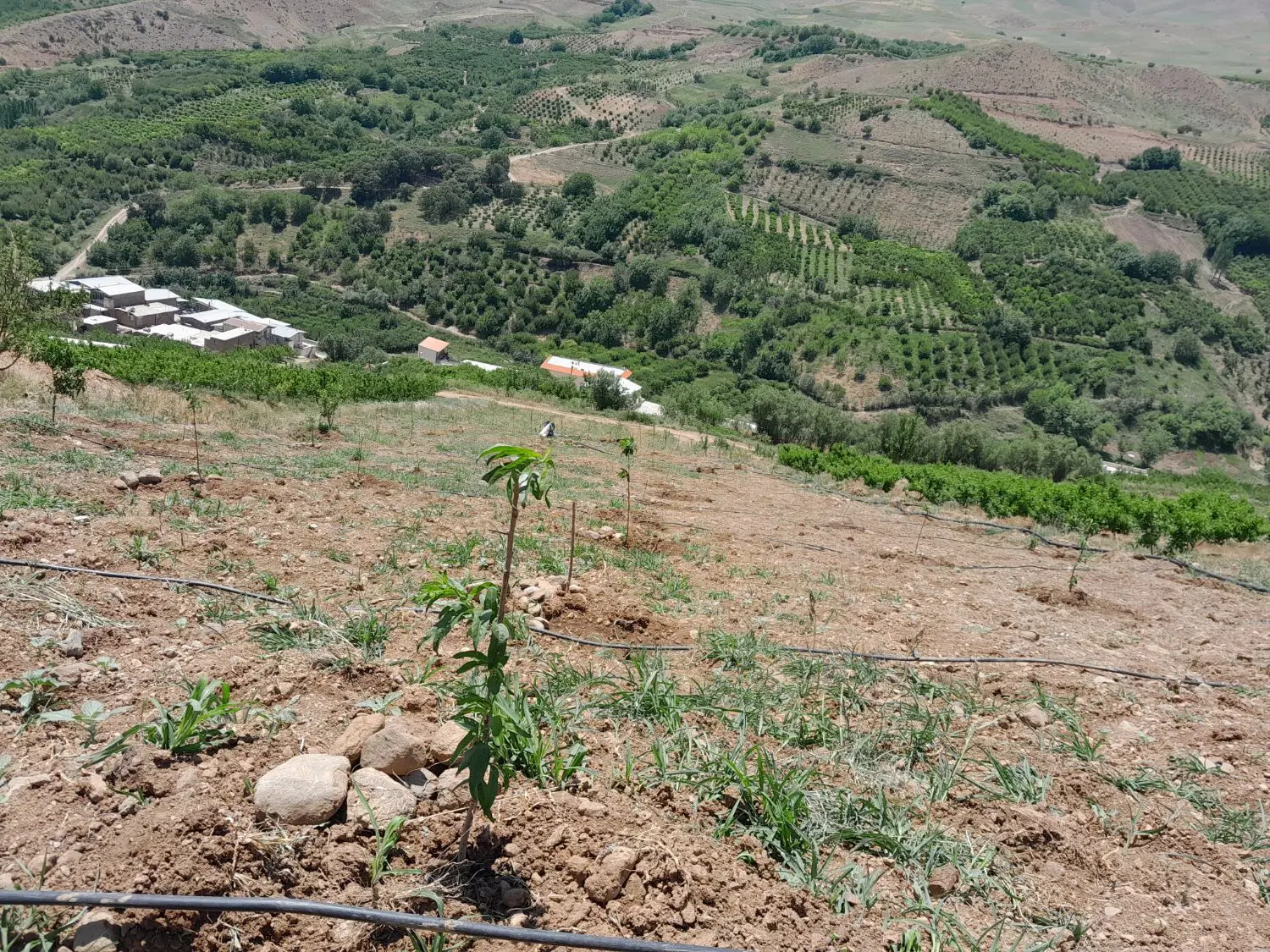 باغ ،کپرگه