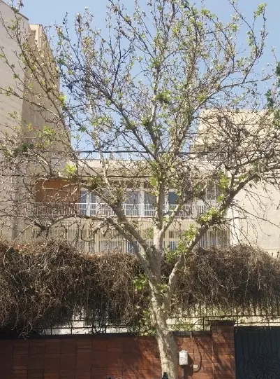فروش فوری ملک کلنگی خسرو جنوبی