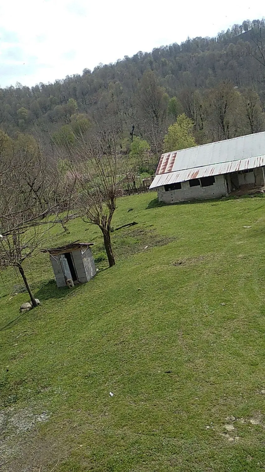 زمین مسکونی ماکلوان کوچی چال خیابان شهدا