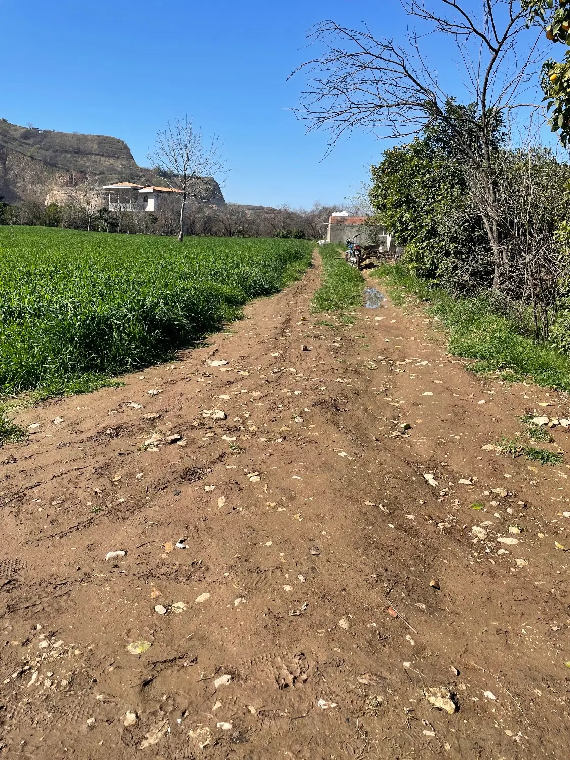480مترزمین رستمکلا