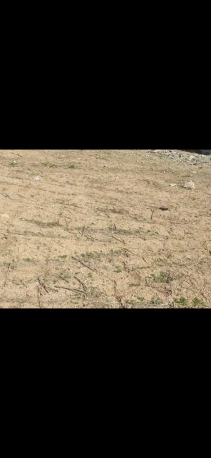 زمین دونبش در روستای سلیمانیه محمودآباد شیخا