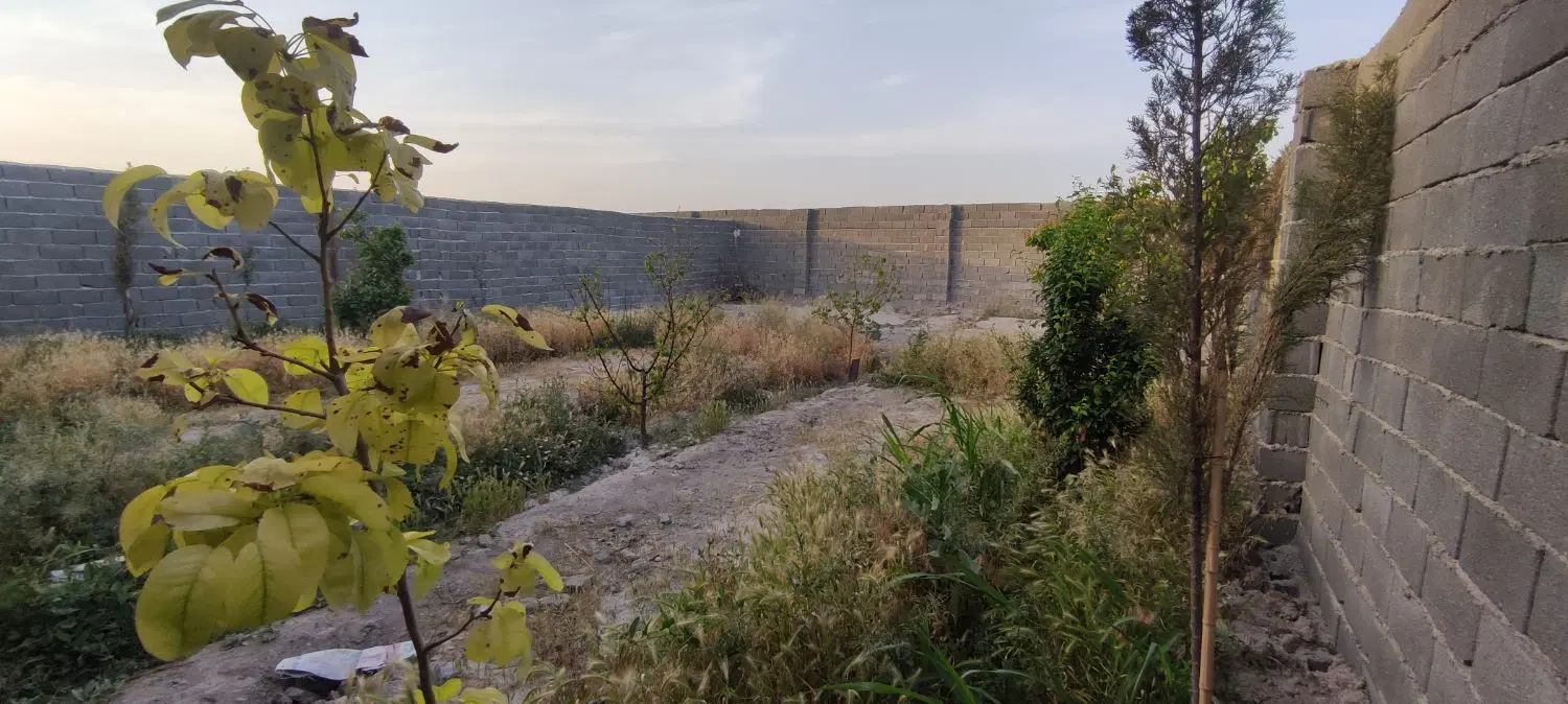 ۲۵۰ متر باغچه چهاردیوار،سندتکبرگ،آب و برق و‌گاز