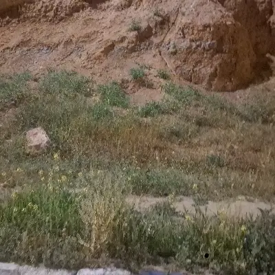 زمین مسکونی
