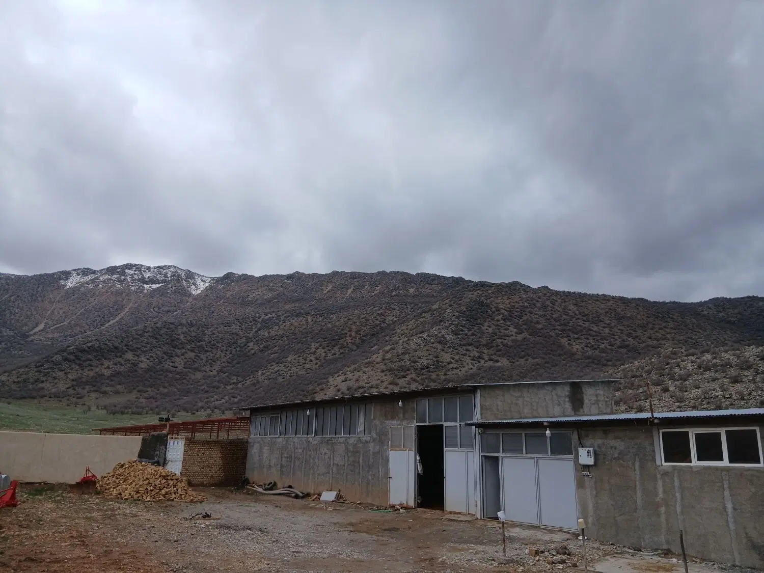 فروش پرواربندی بره ۵۳۴ راسی