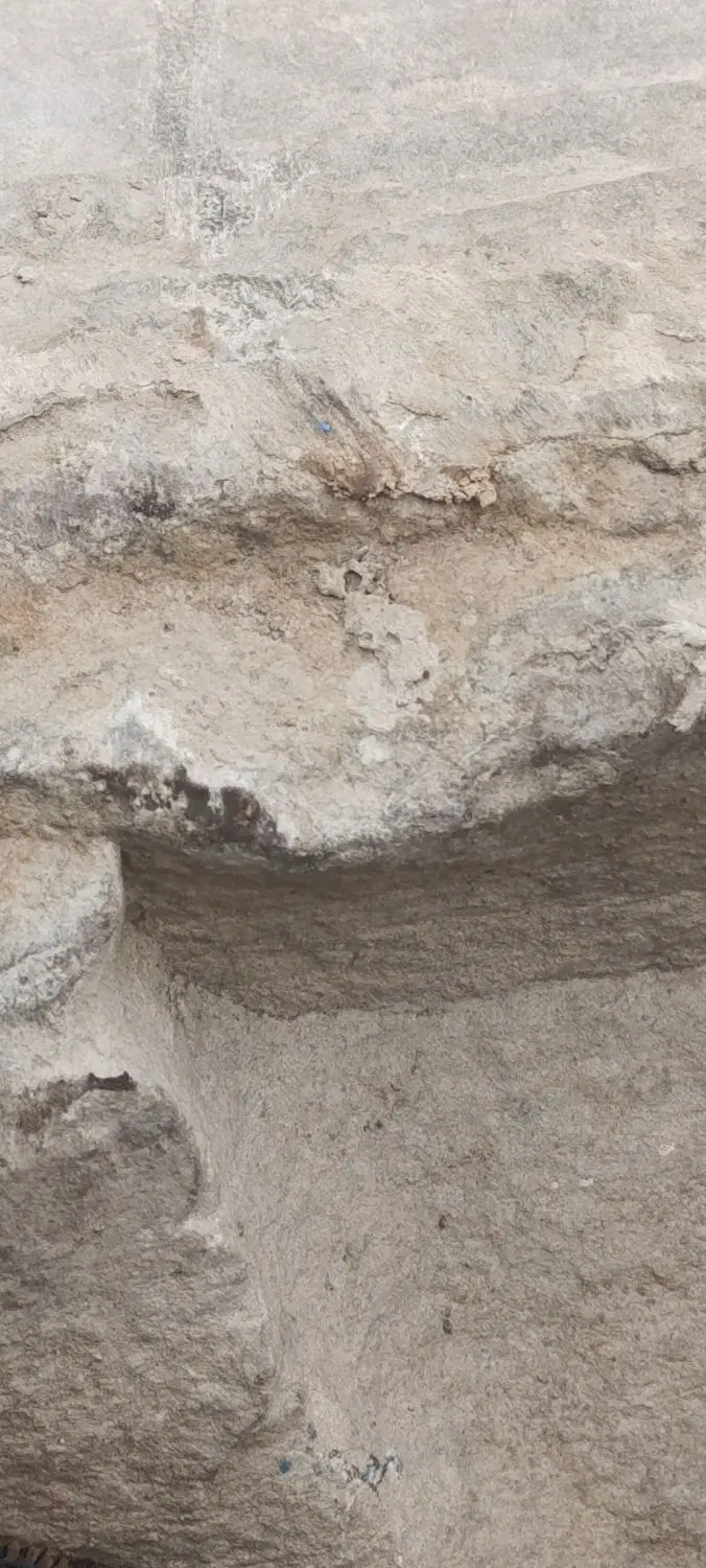 زمین مسکن ملی فروشی