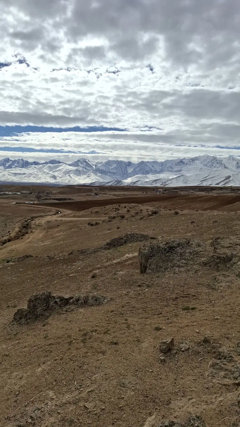 زمین مسکونی