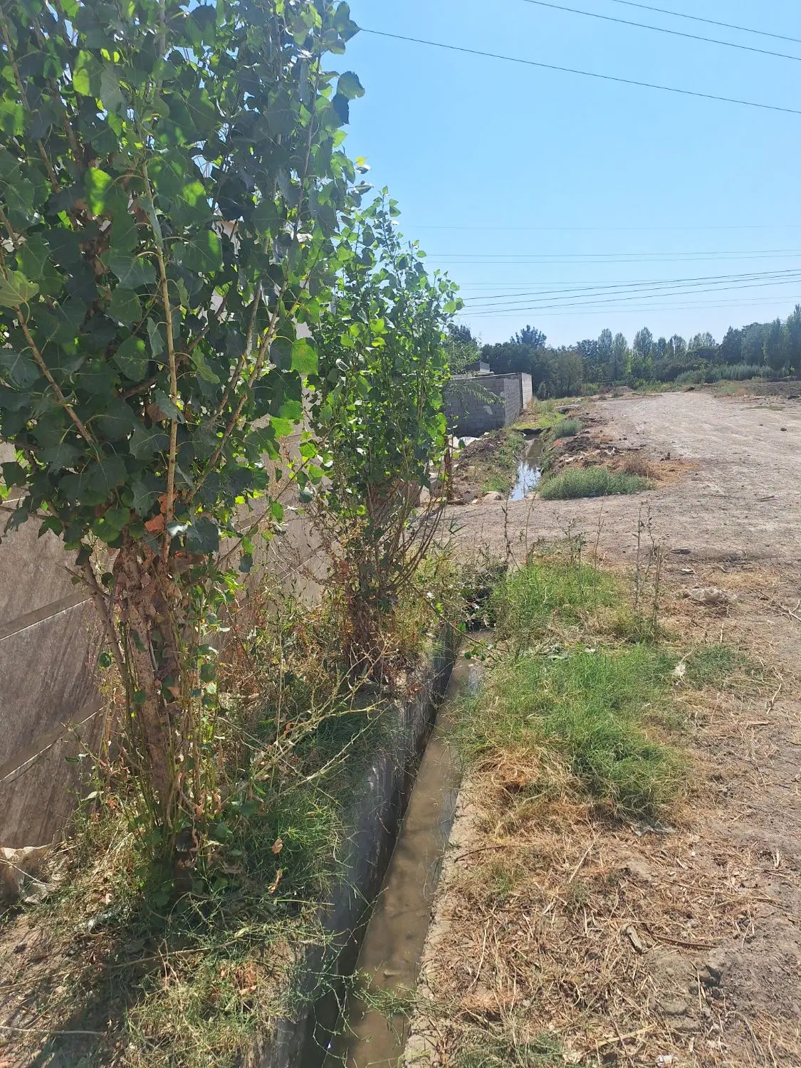 ۳۶۵ متر باغچه چهارباغ