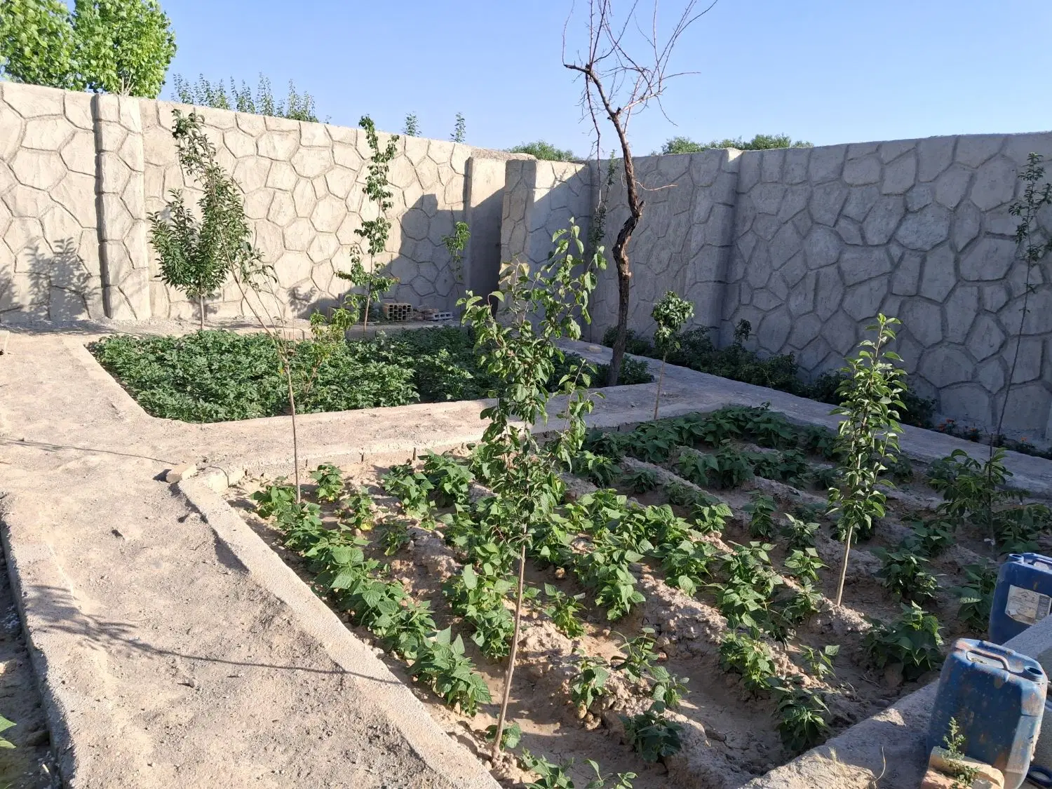 زمین ویلایی باسمنج