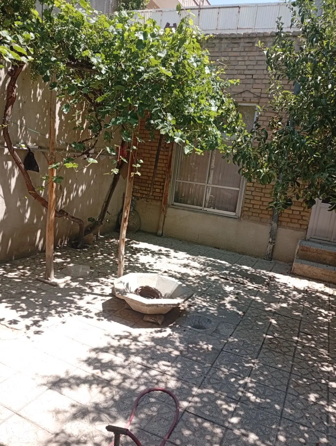 فروش حیاط