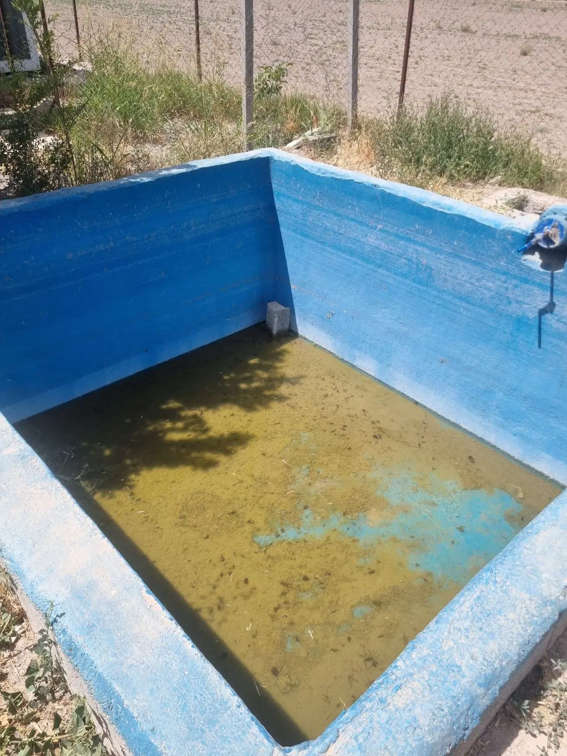 باغچه، استخر دار، درختای میوه متنوع