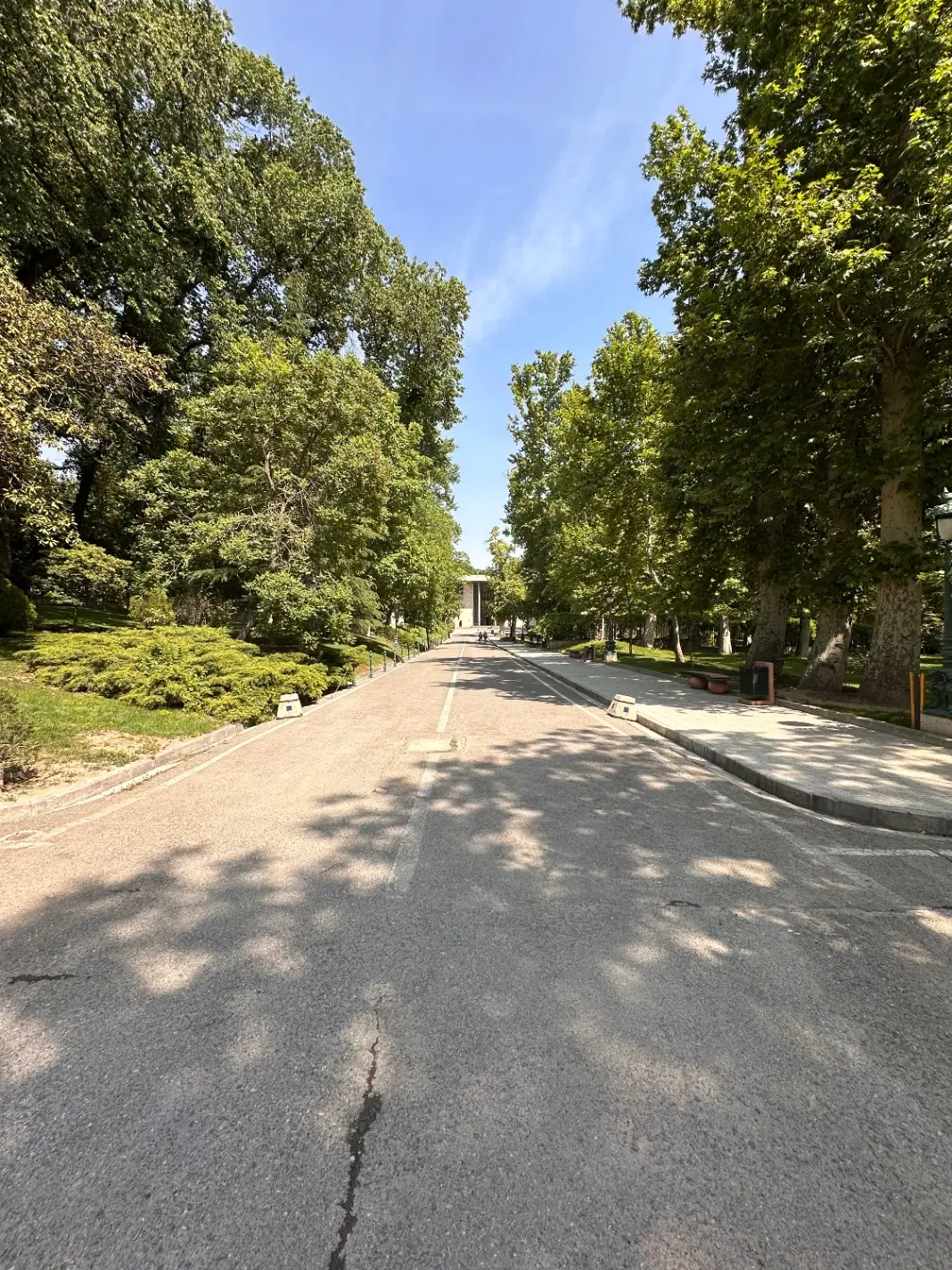 زمین