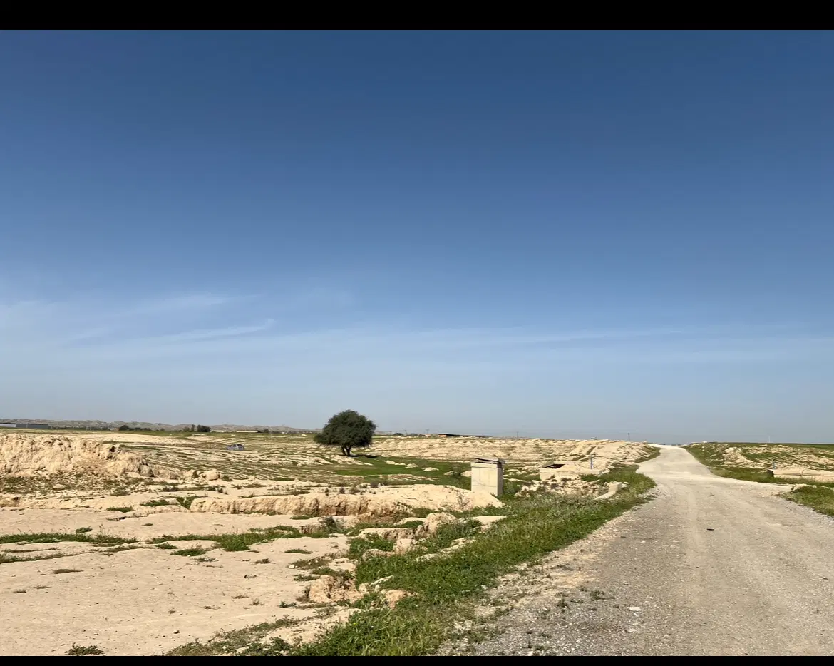 زمین باغی