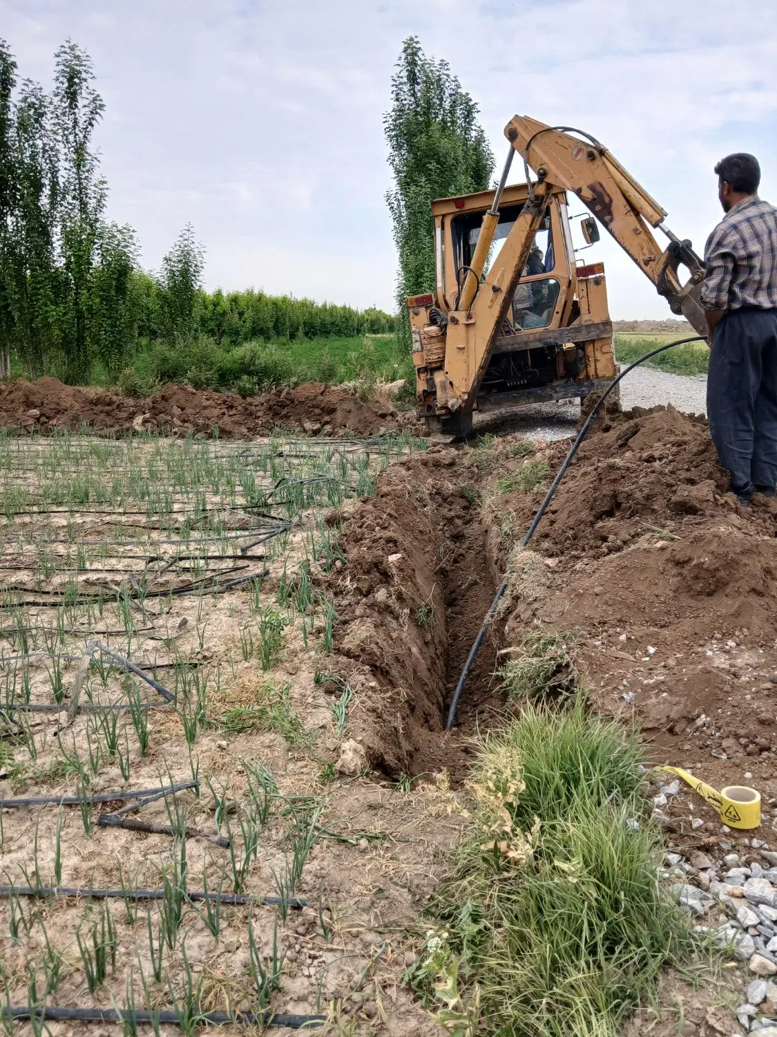 زمین کشاورزی