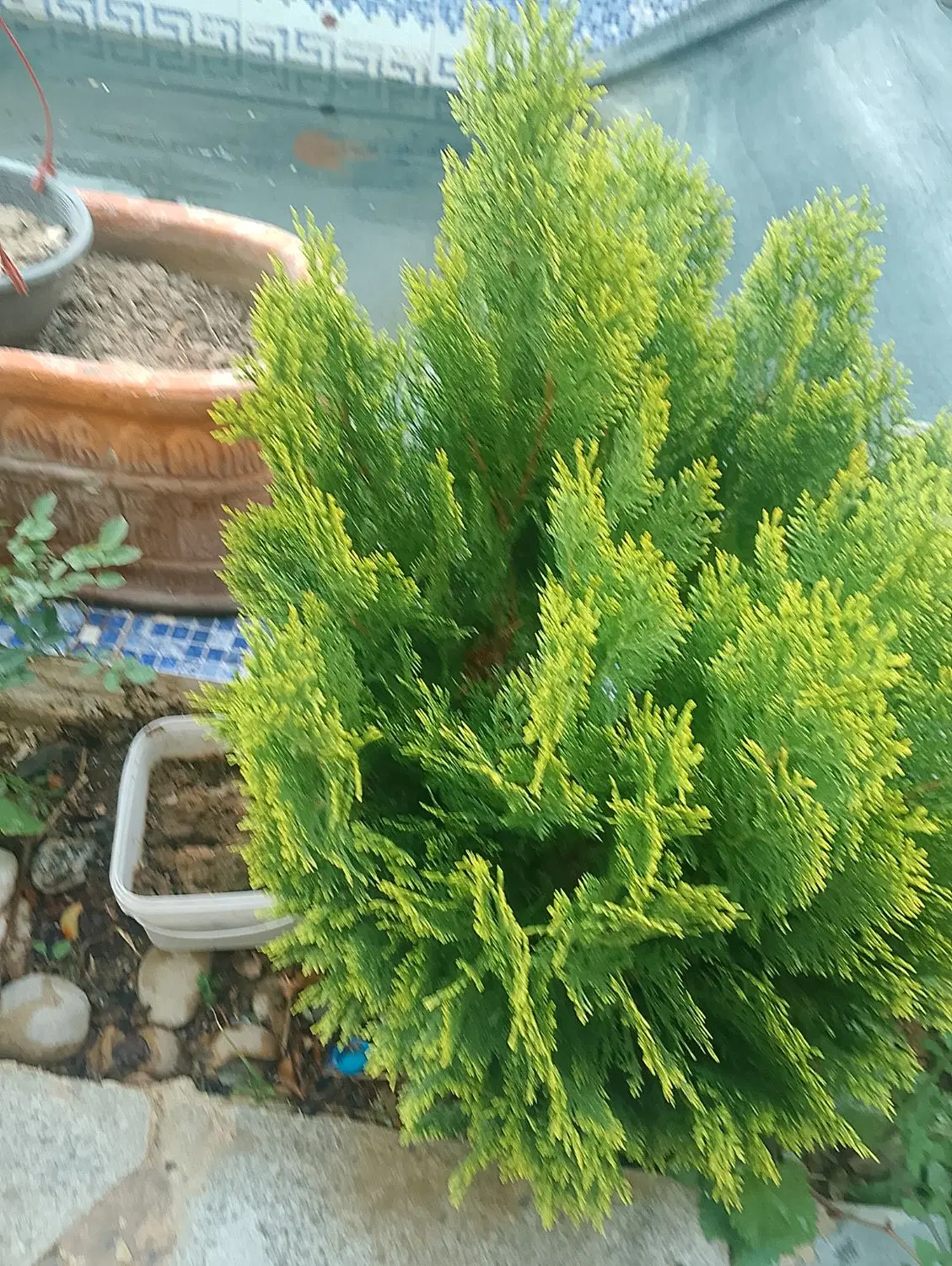 فروش باغ