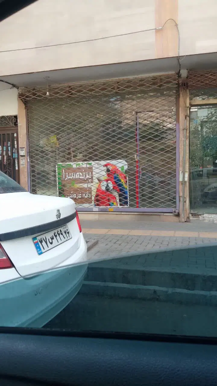 اجاره و رهن مغازه