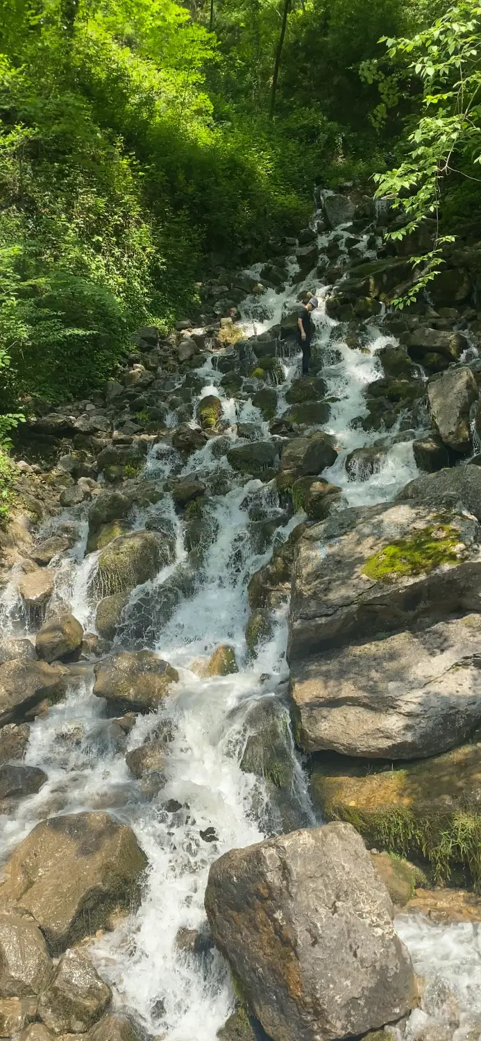 فروش ۸۰۰۰ متر زمین در کجور منطقه کدیر