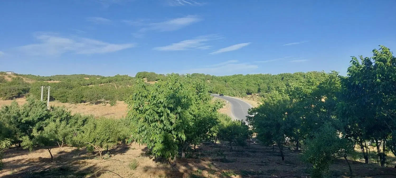 زمین کشاورزی