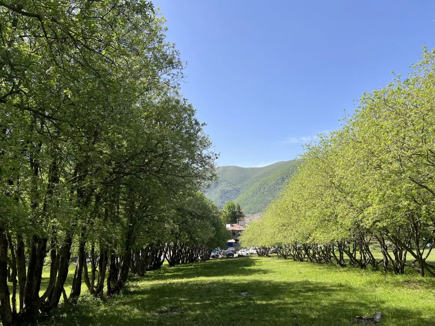 فروش زمین واقع در اسپیران