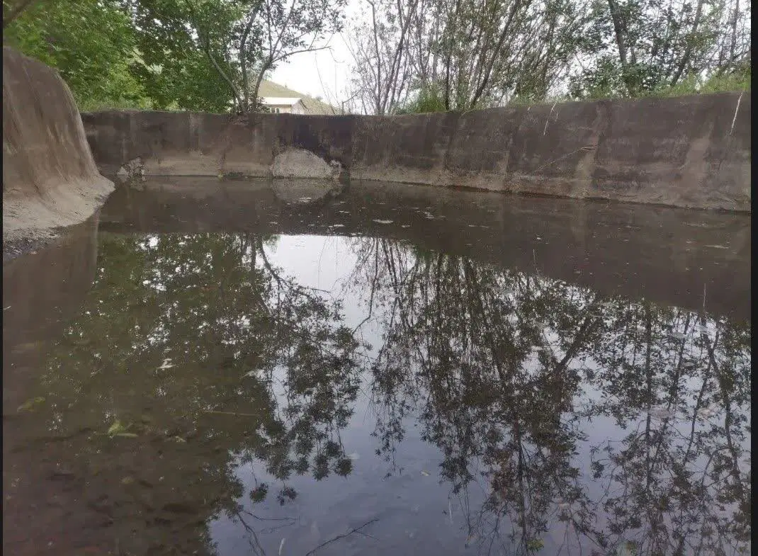 باغ ویلای سرسبز دهبار