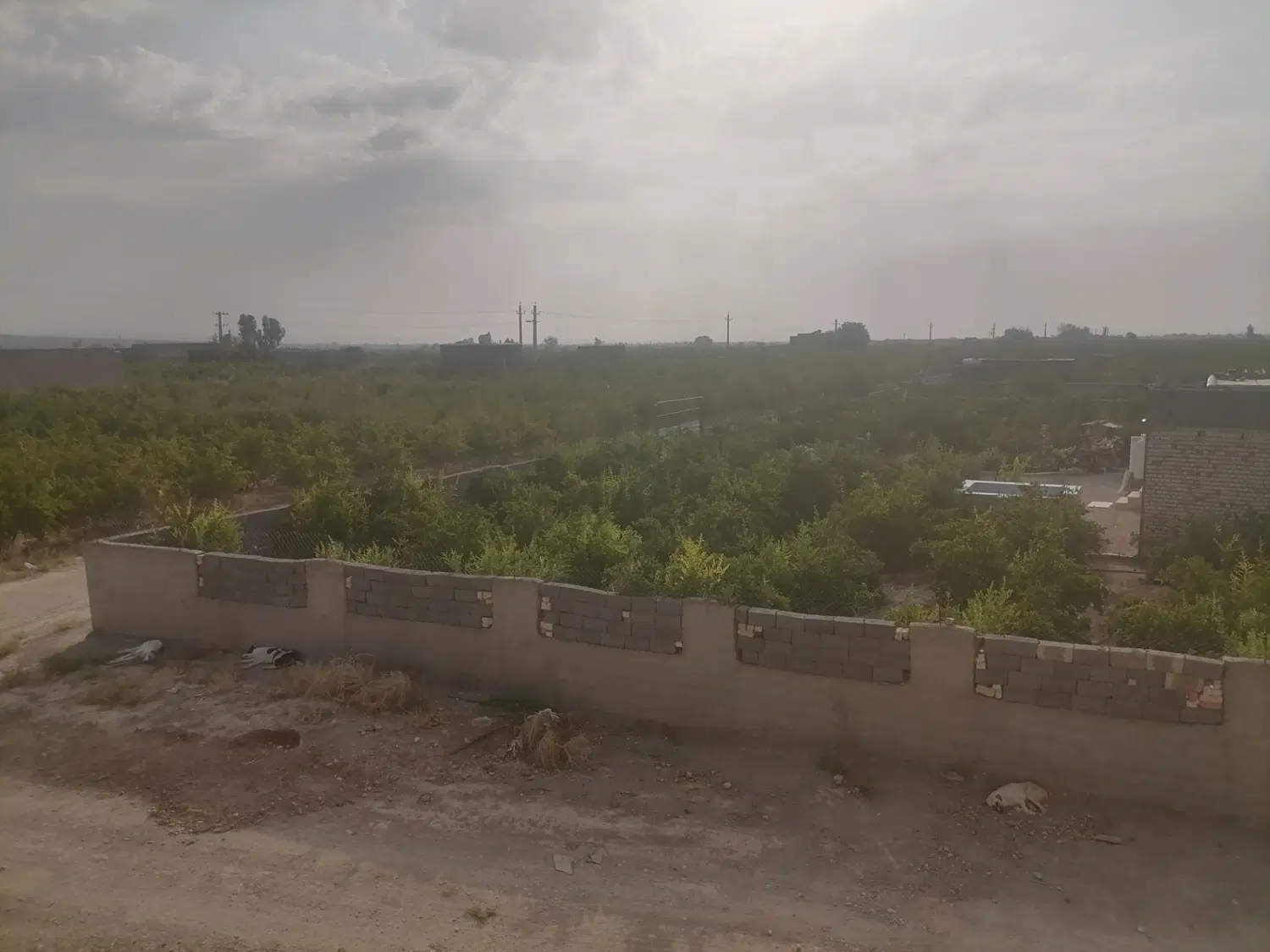 باغ انار اوایل جاده سد