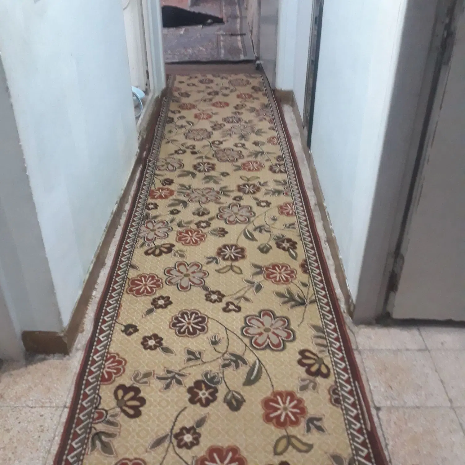 اپارتمان سنجابی