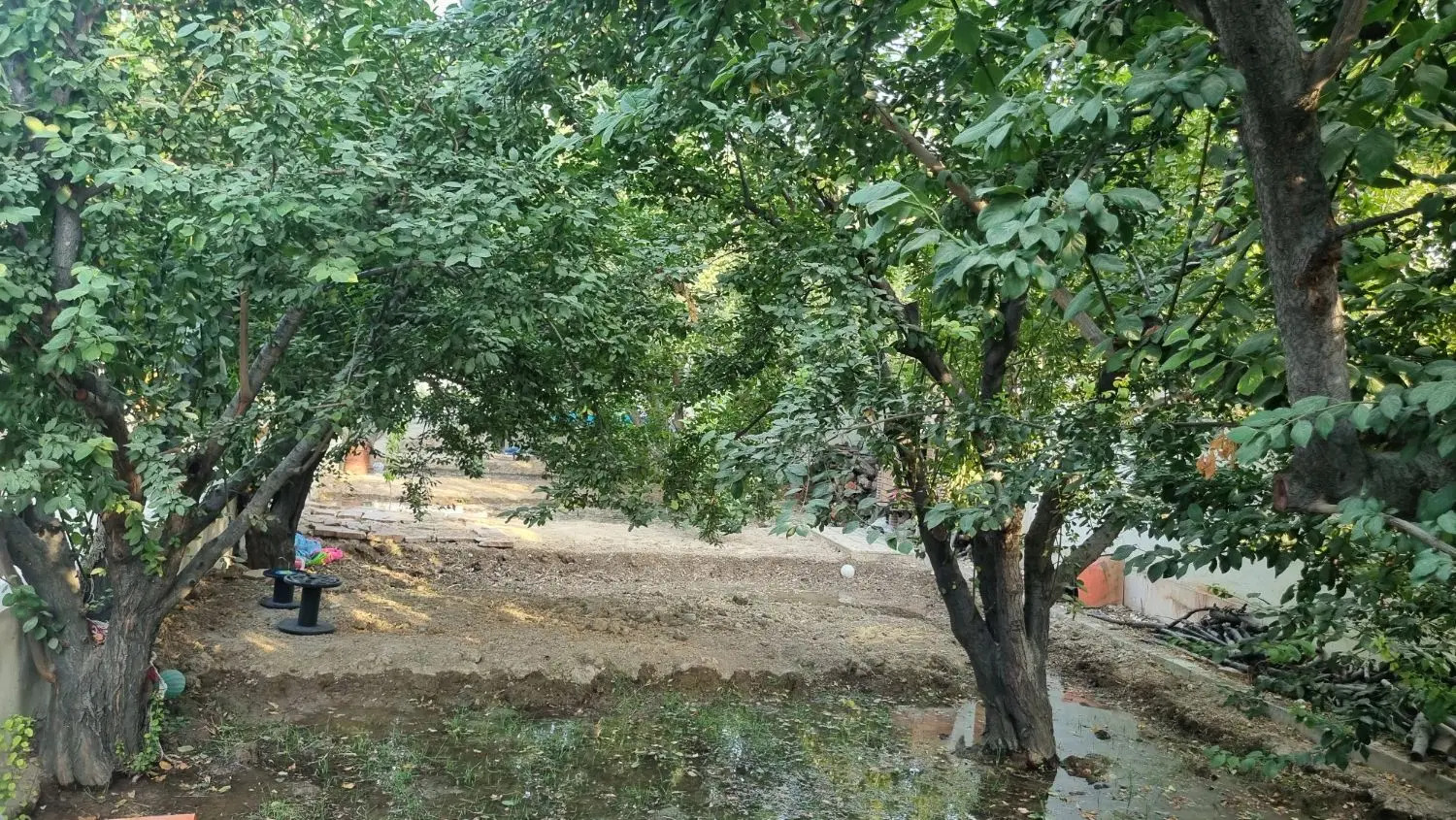 باغچه زیبادشت