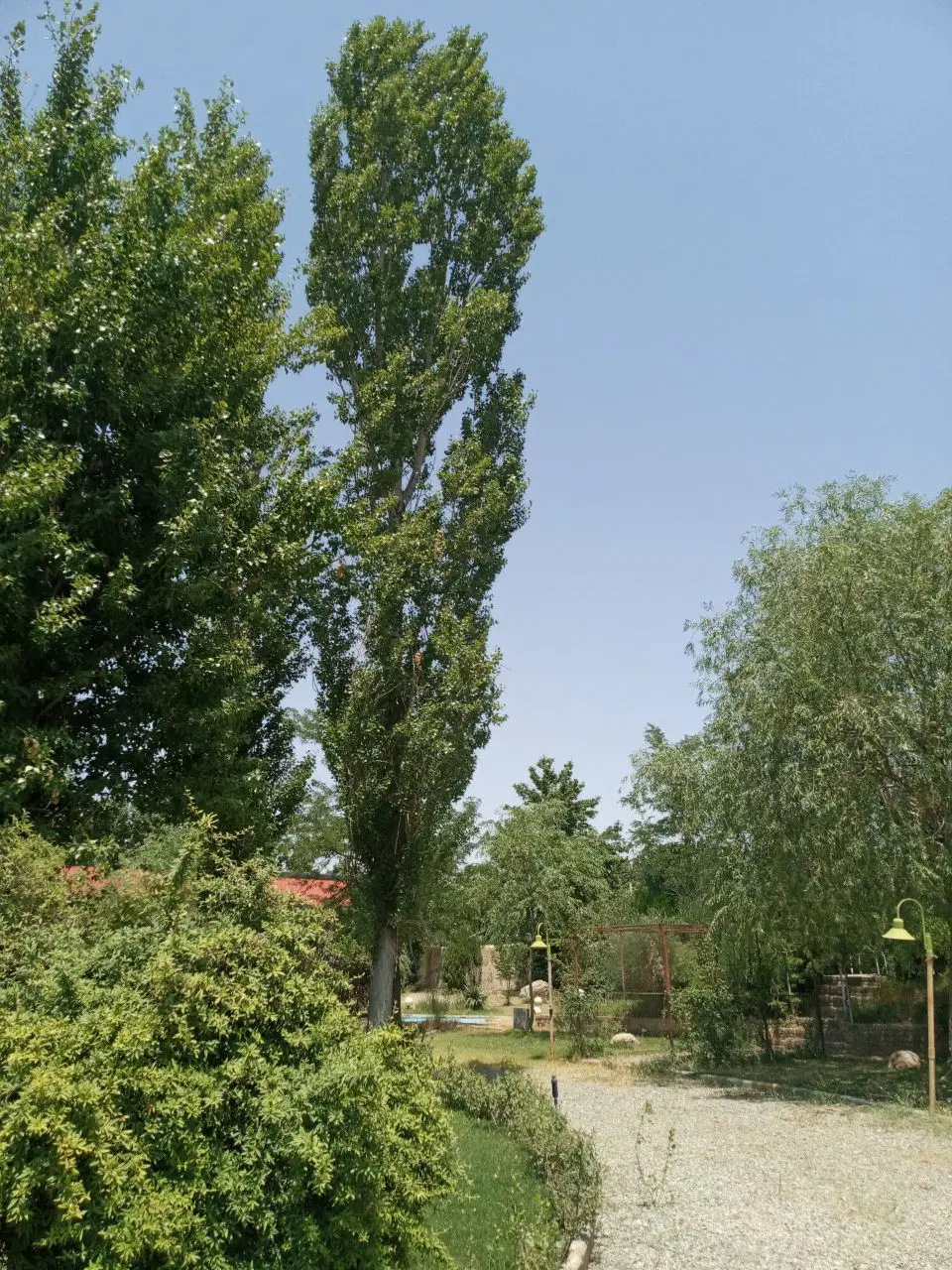 فروش ۵۴۰ متر زمین دونبش کردان تهراندشت