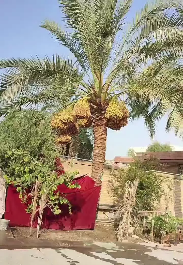 منزل مسکونی