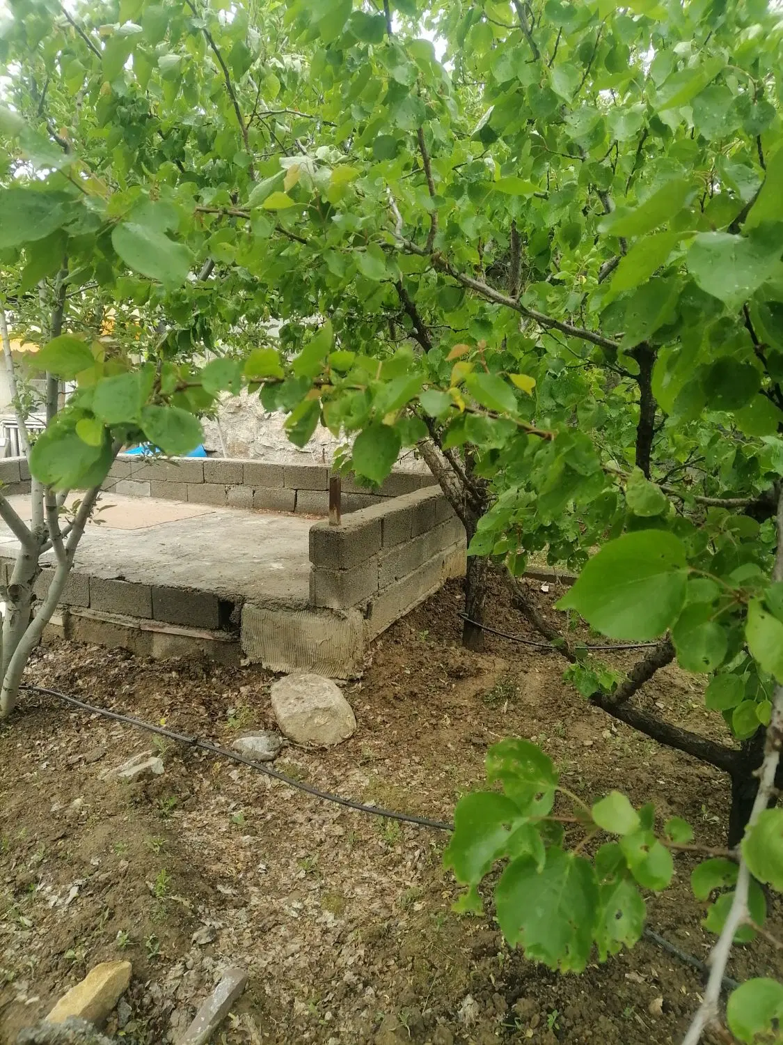باغ عارفی