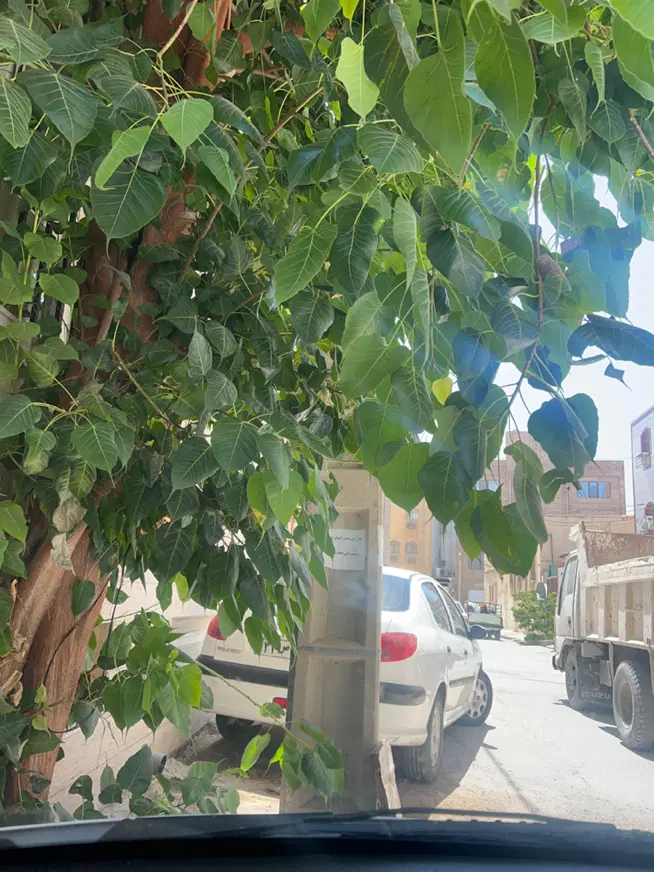 ویلایی نزدیک گمرک