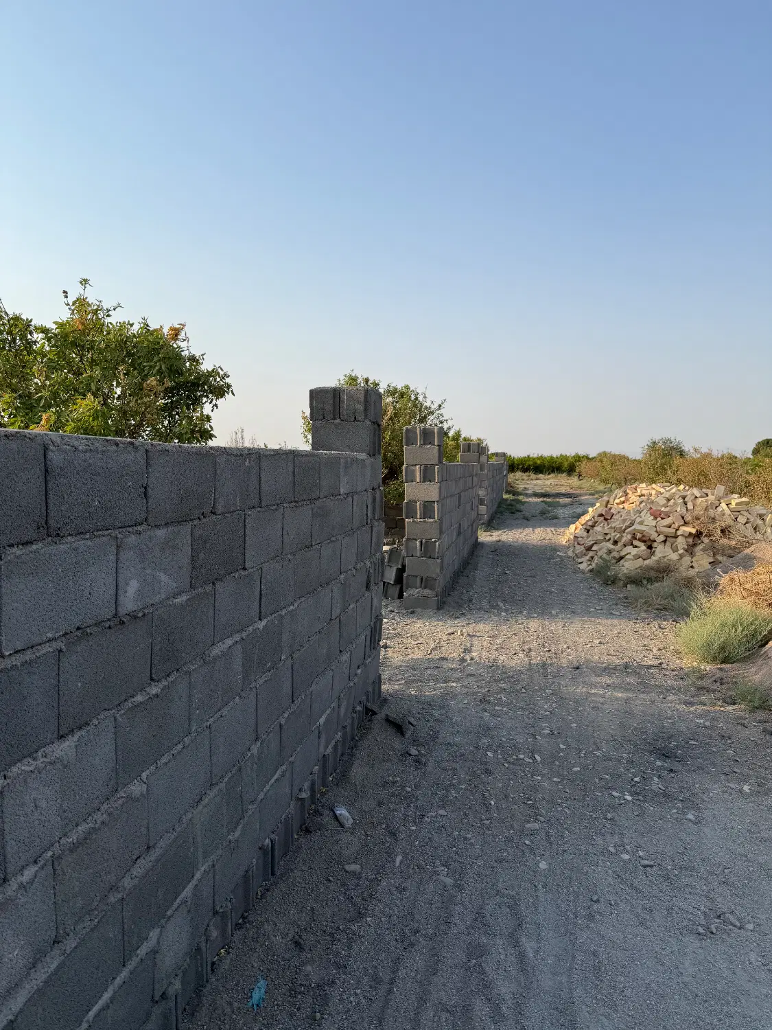 باغچه باغ بی نظیر چهار دیواری شده  سند دار