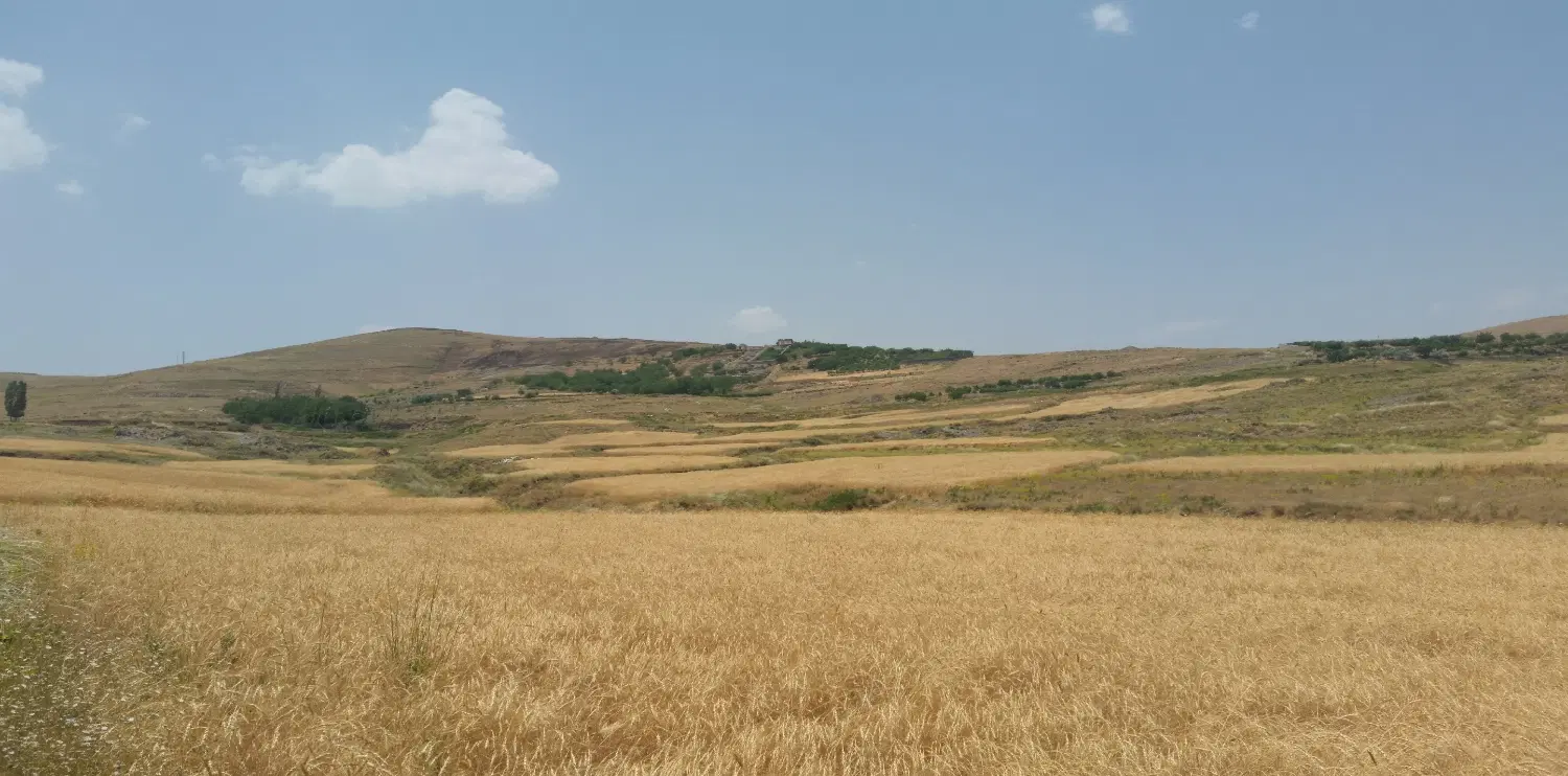 زمین کشاورزی جاده چشین به انجلاس 1600 متر